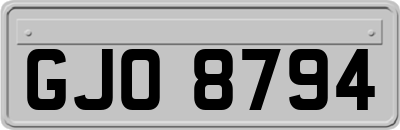 GJO8794