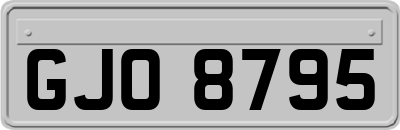 GJO8795