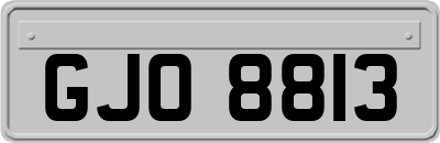 GJO8813