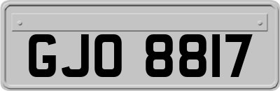 GJO8817