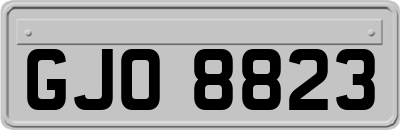 GJO8823