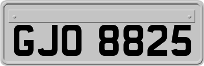 GJO8825