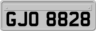 GJO8828