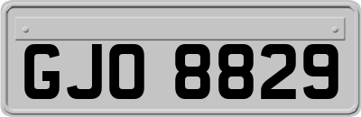 GJO8829