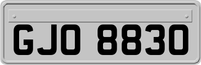 GJO8830