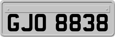 GJO8838