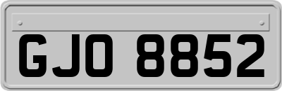 GJO8852