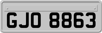 GJO8863
