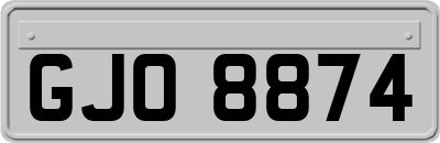 GJO8874
