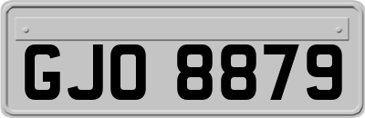 GJO8879
