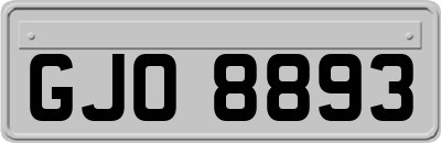 GJO8893