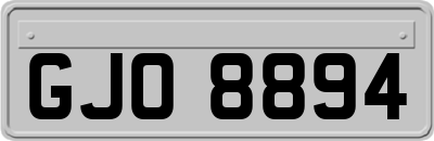 GJO8894
