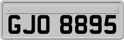 GJO8895