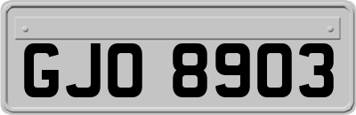 GJO8903