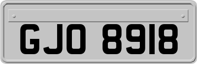 GJO8918