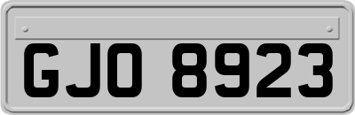 GJO8923