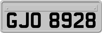 GJO8928