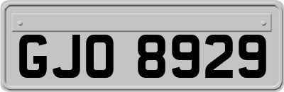 GJO8929
