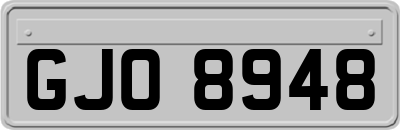 GJO8948