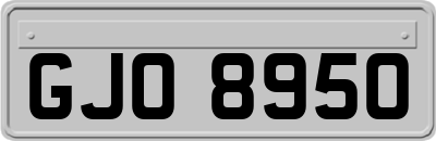 GJO8950