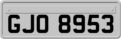 GJO8953