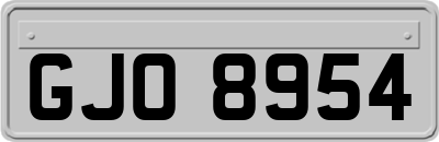 GJO8954