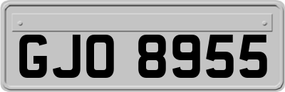 GJO8955