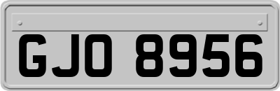 GJO8956