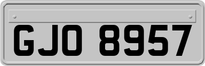 GJO8957