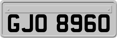 GJO8960