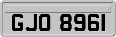 GJO8961