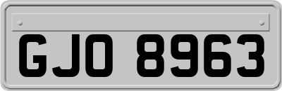 GJO8963