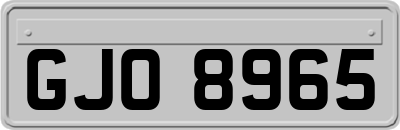 GJO8965