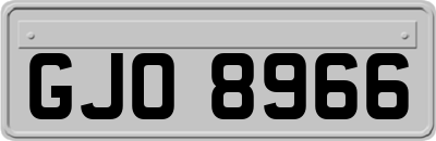 GJO8966