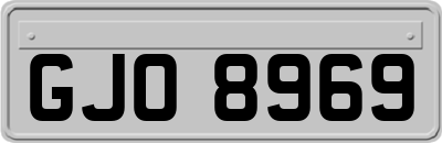 GJO8969
