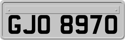 GJO8970