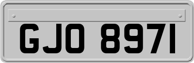 GJO8971