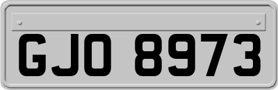 GJO8973