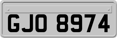 GJO8974