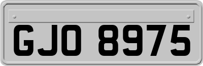 GJO8975