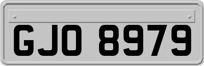 GJO8979