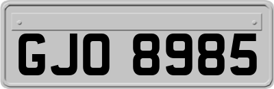 GJO8985