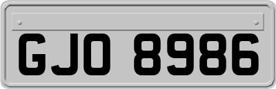 GJO8986