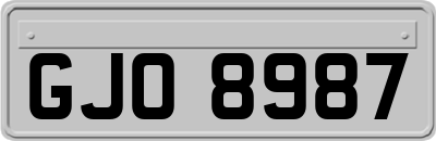 GJO8987