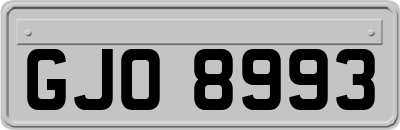 GJO8993