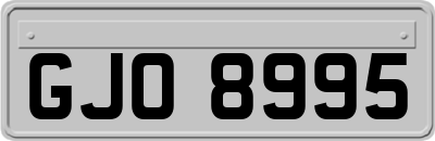GJO8995