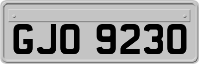 GJO9230