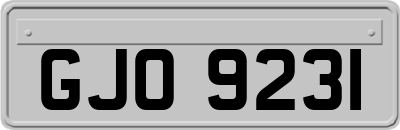 GJO9231