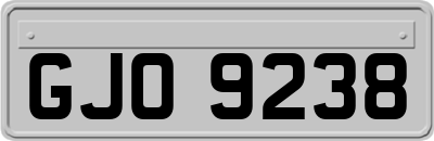 GJO9238