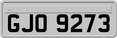 GJO9273